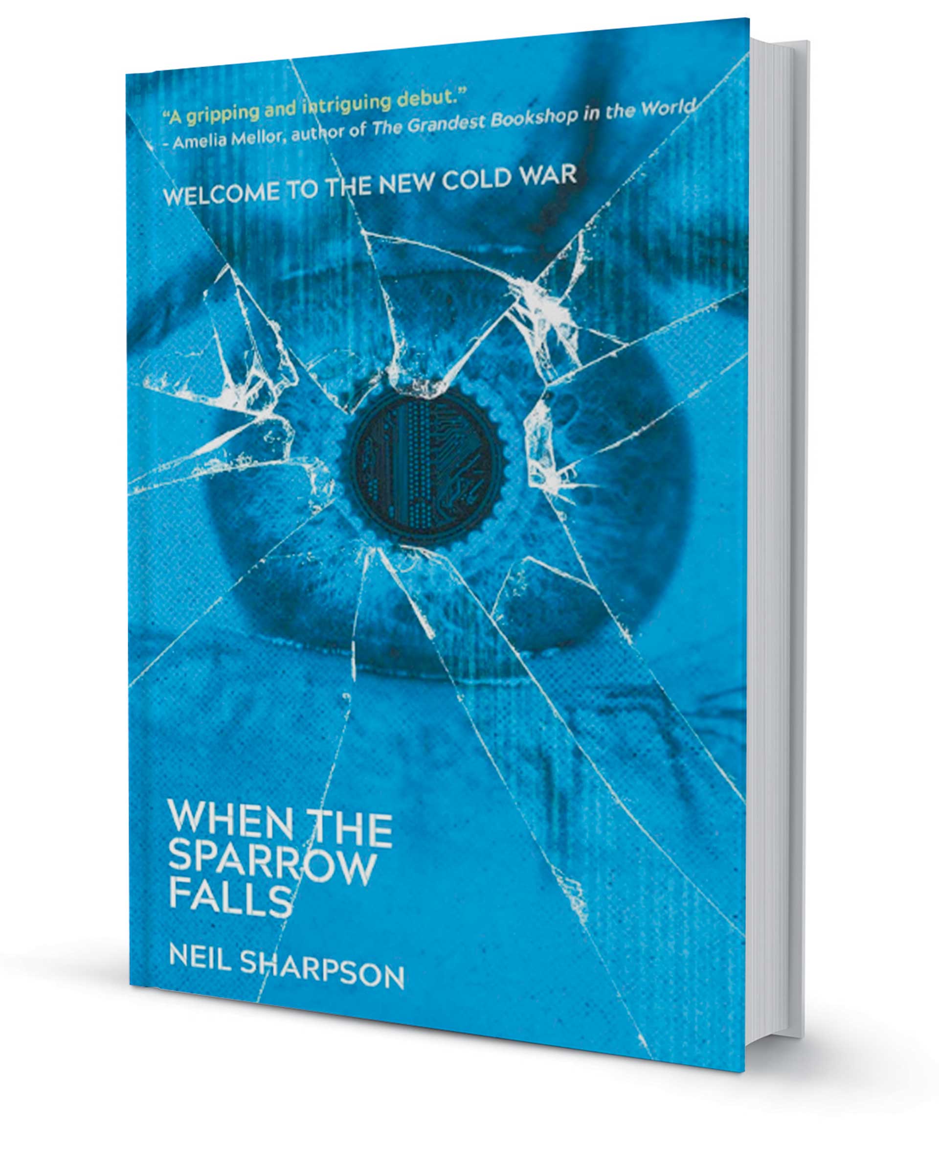 Το μέλλον είναι σαν μυθιστόρημα-6