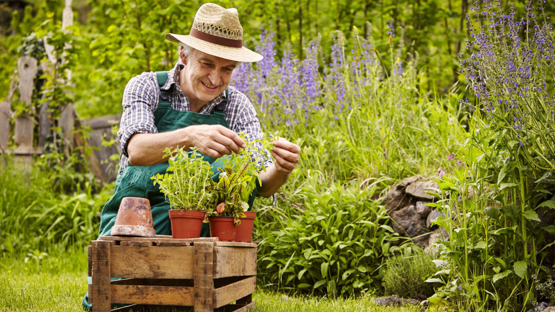 κηπουρική-και-άλλες-εξωτερικές-εργασ-563307727