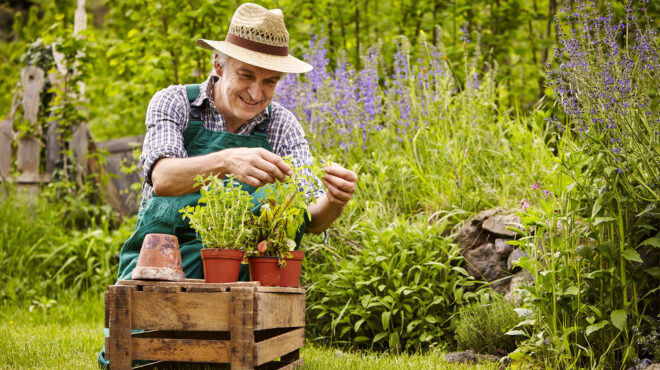 κηπουρική-και-άλλες-εξωτερικές-εργασ-563307727
