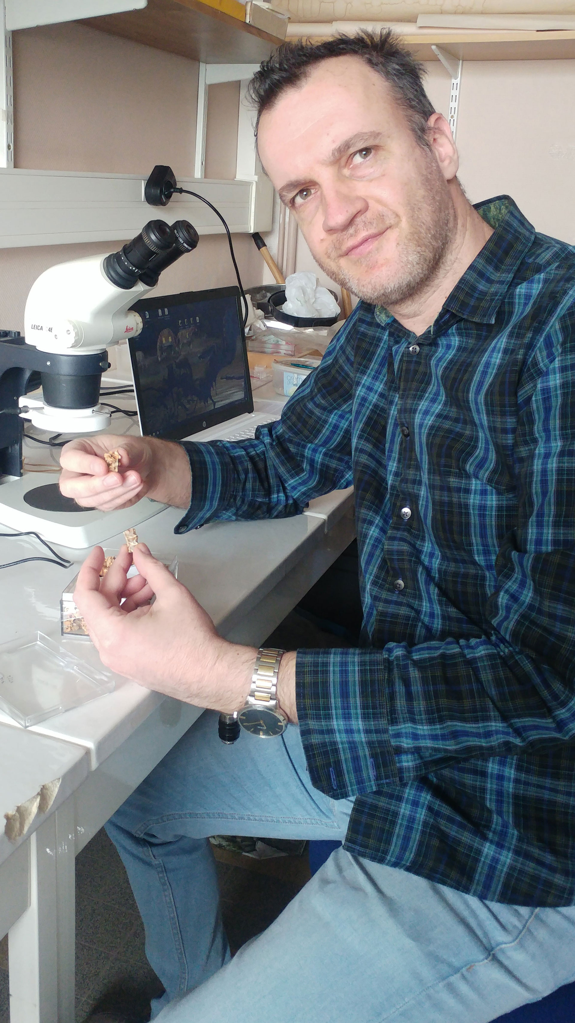 Τεραστιοδοντόσαυρος: Ελληνας παλαιοντολόγος «βάφτισε» νέο είδος ερπετού 50 εκατομμυρίων ετών-1