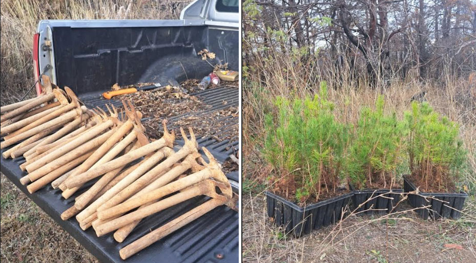 Τα παιδιά δίνουν ξανά ζωή στο εθνικό πάρκο της Δαδιάς-3