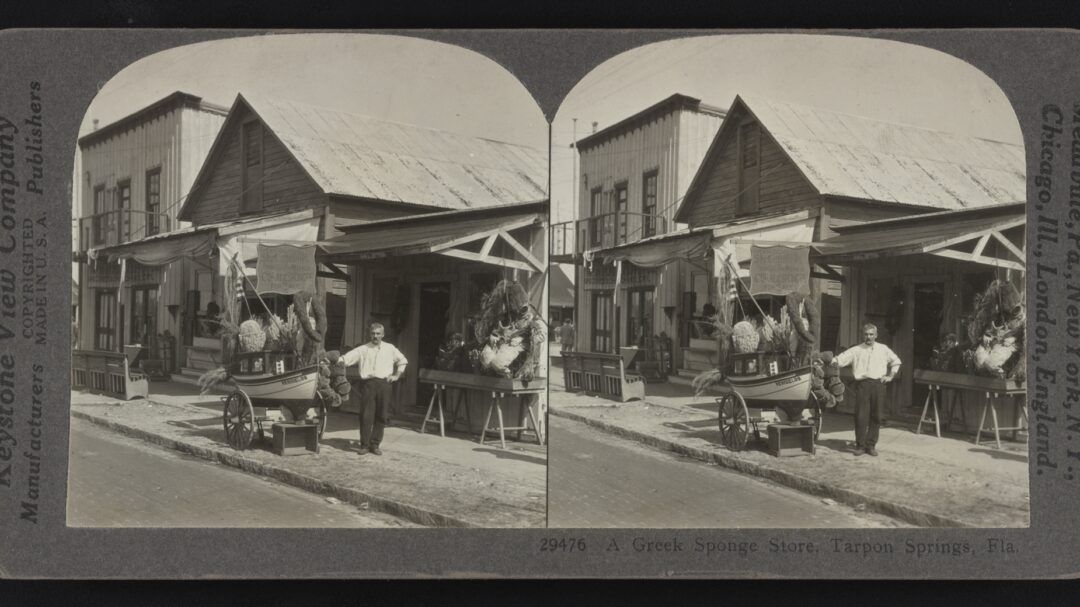 ο-κύκλος-της-φλόριντα-και-οι-λομπίστες-563326627