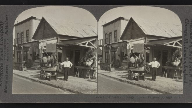 ο-κύκλος-της-φλόριντα-και-οι-λομπίστες-563326627