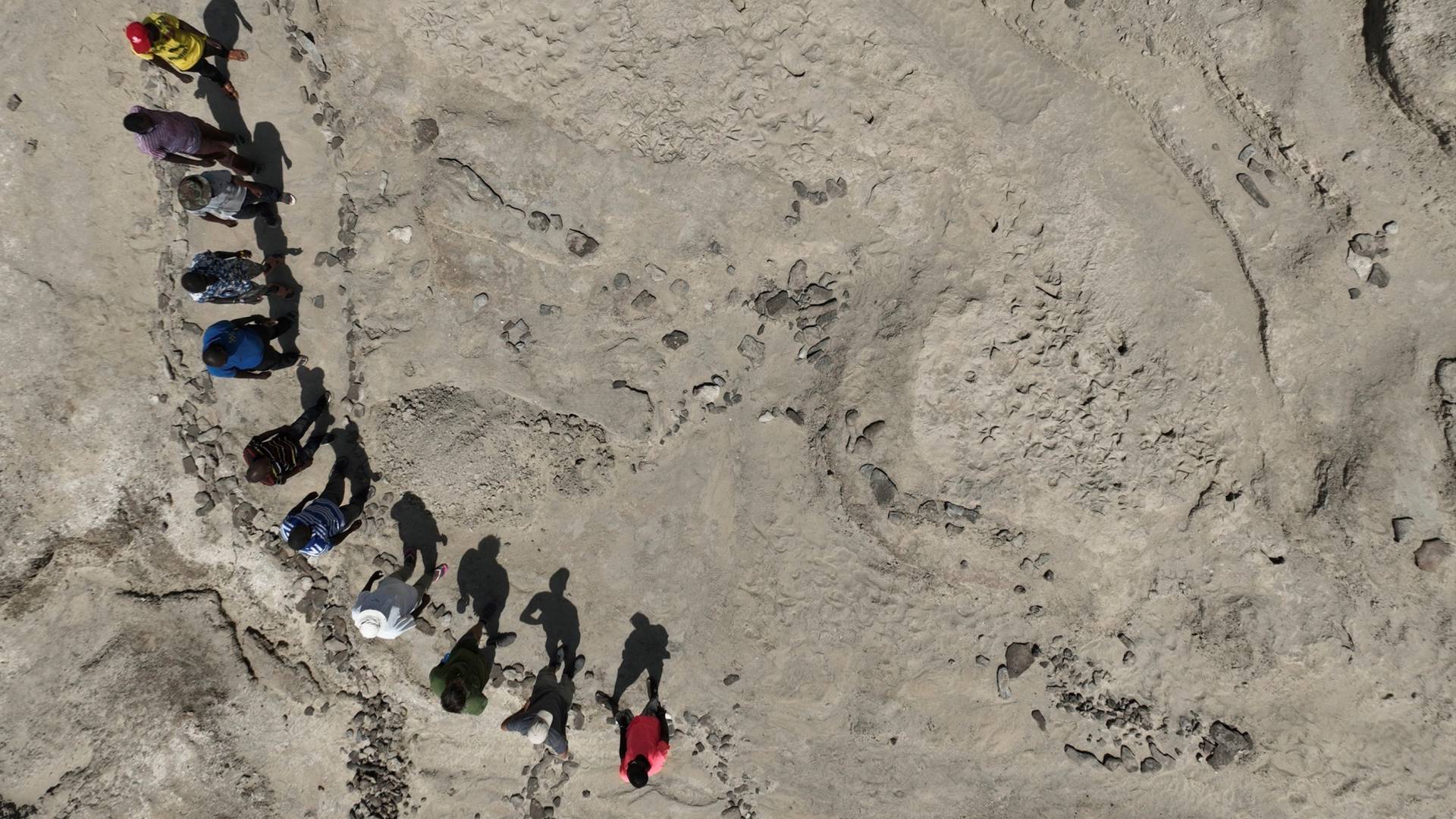 Κένυα: Απολιθωμένα ίχνη αποκάλυψαν μια μοναδική «συνάντηση» εξαφανισμένων προγόνων-1