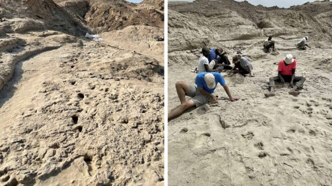 to-mystiko-tis-apolithomenis-palamis-563348923