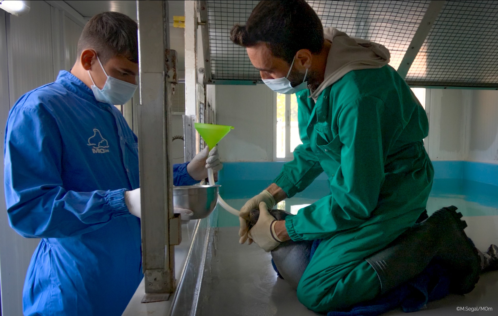 Οι ιστορίες του Παναγή, του Ρένου και της Κωνσταντίνας-3