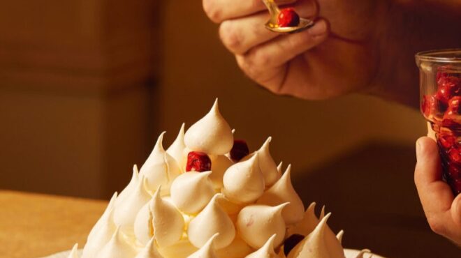 πάβλοβα-χριστουγεννιάτικο-δέντρο-563338582