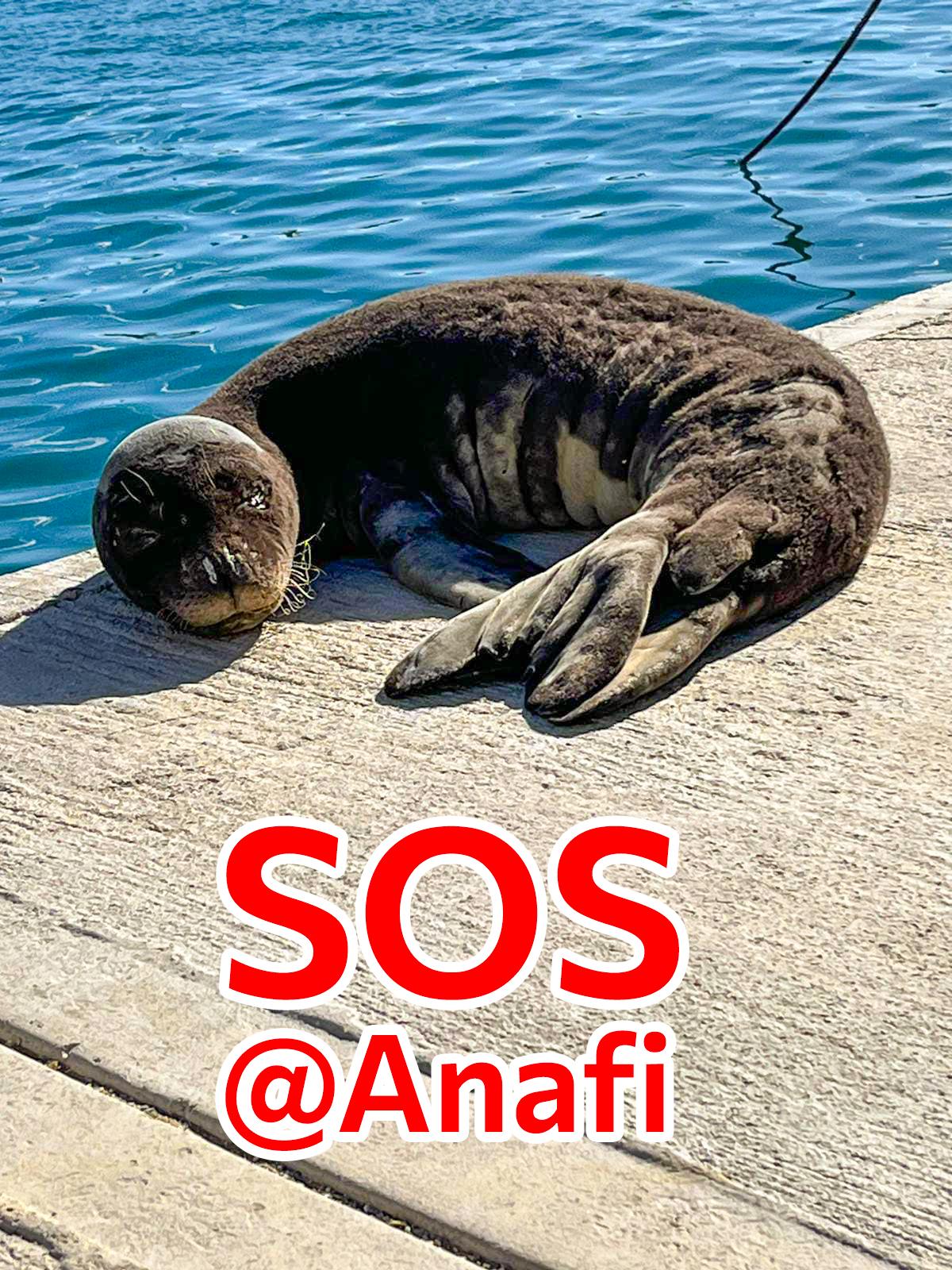 Οι ιστορίες του Παναγή, του Ρένου και της Κωνσταντίνας-6