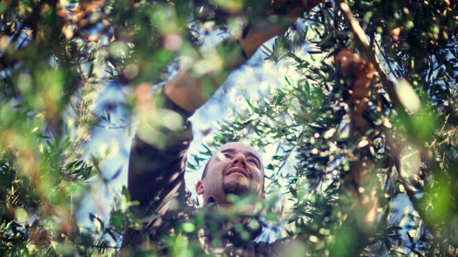 σοδειά-υπάρχει-λείπουν-τα-χέρια-563323363