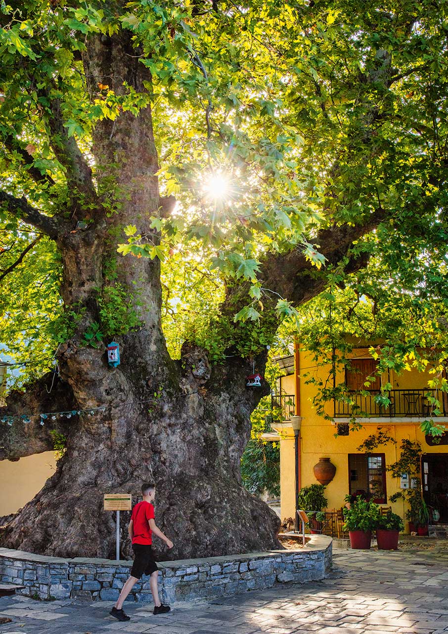 Τσαγκαράδα: Το χωριό των αιώνιων πλατάνων και των φθινοπωρινών χρωμάτων-1