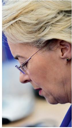 Φυτοφάγοι στη ζούγκλα-1