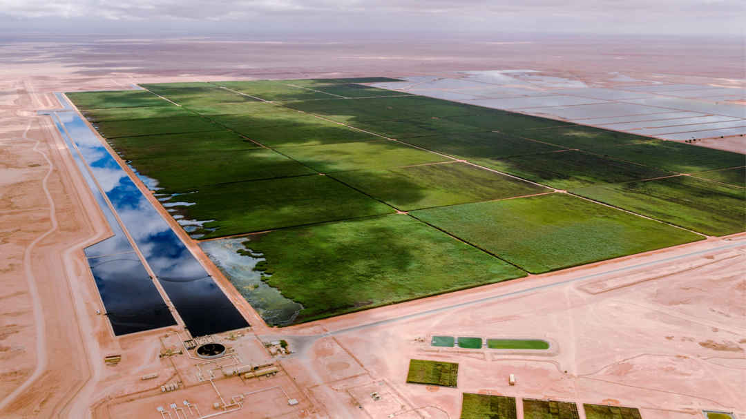 γιατί-η-ελλάδα-έχει-μείνει-στάσιμη-στη-563376424
