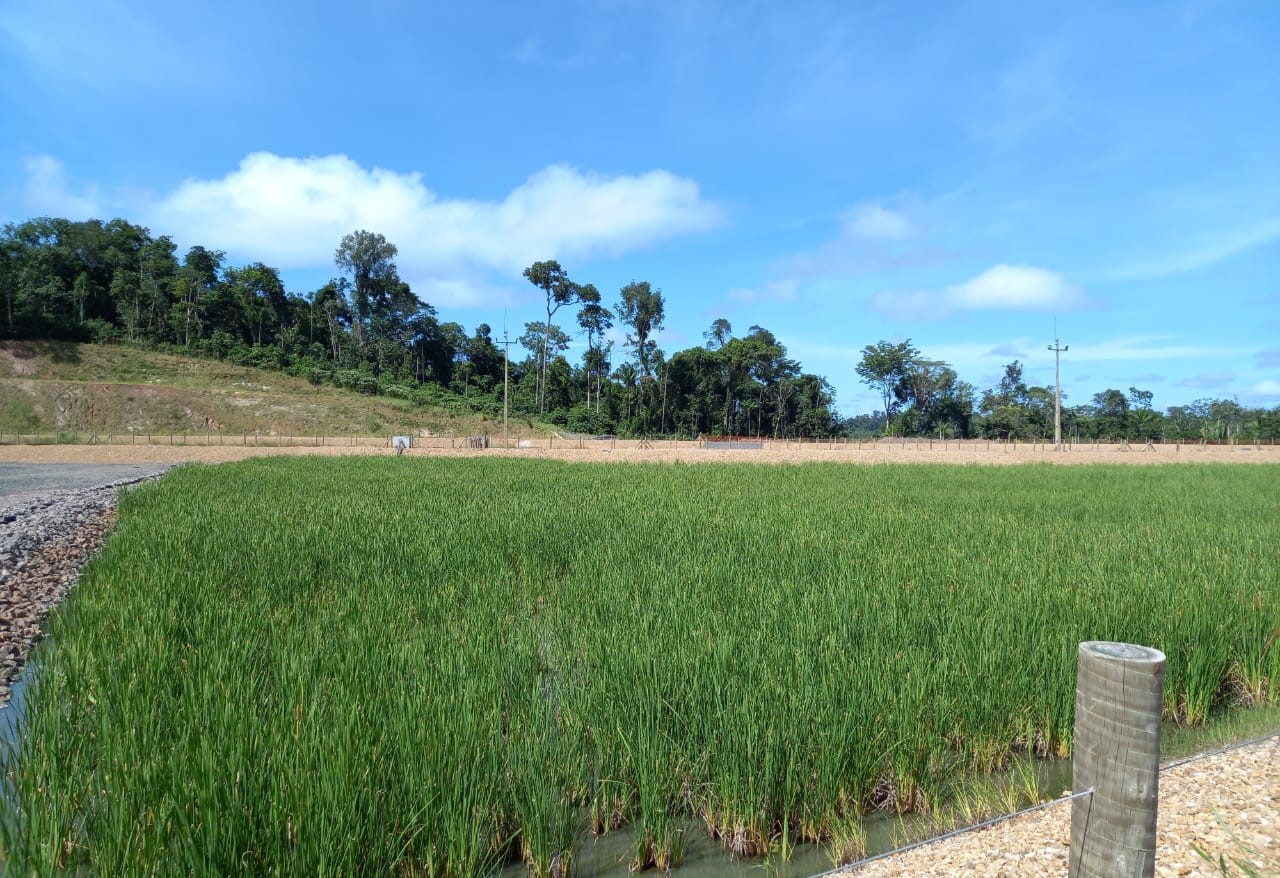 Γιατί η Ελλάδα έχει μείνει στάσιμη στην κυκλική οικονομία νερού-2