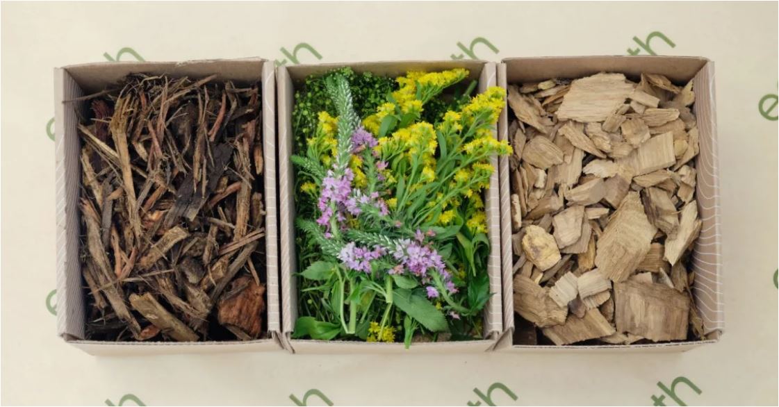 Είναι η ανθρώπινη κομποστοποίηση το μέλλον της «καθαρής» ταφής;-2