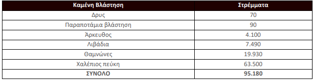 Ερευνα: Οι 14 μεγάλες πυρκαγιές του 2024-7