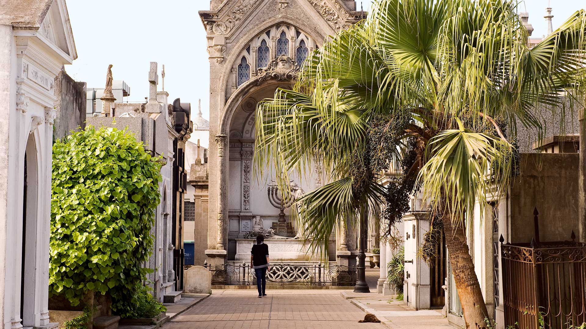 Η εθιστική γοητεία του Μπουένος Άιρες-8