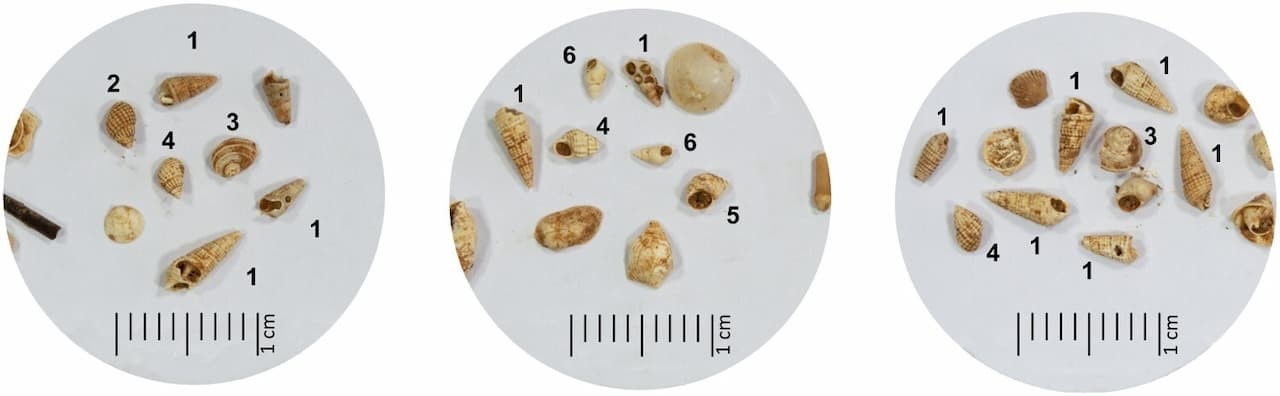 Στο φως αθέατα μυστικά της μινωικής αρχιτεκτονικής-1