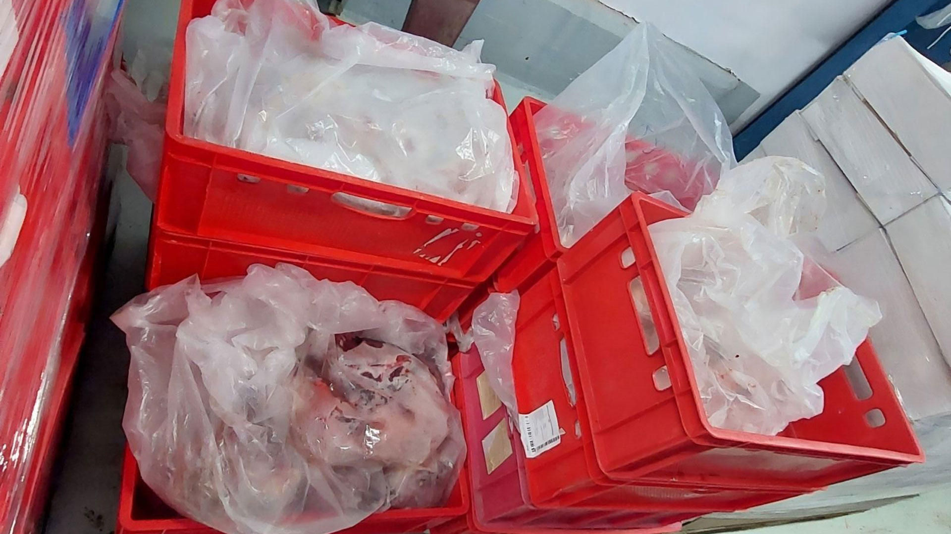 Περιφέρεια Αττικής: Κατασχέθηκαν 25 τόνοι αλλοιωμένων κρεάτων-1