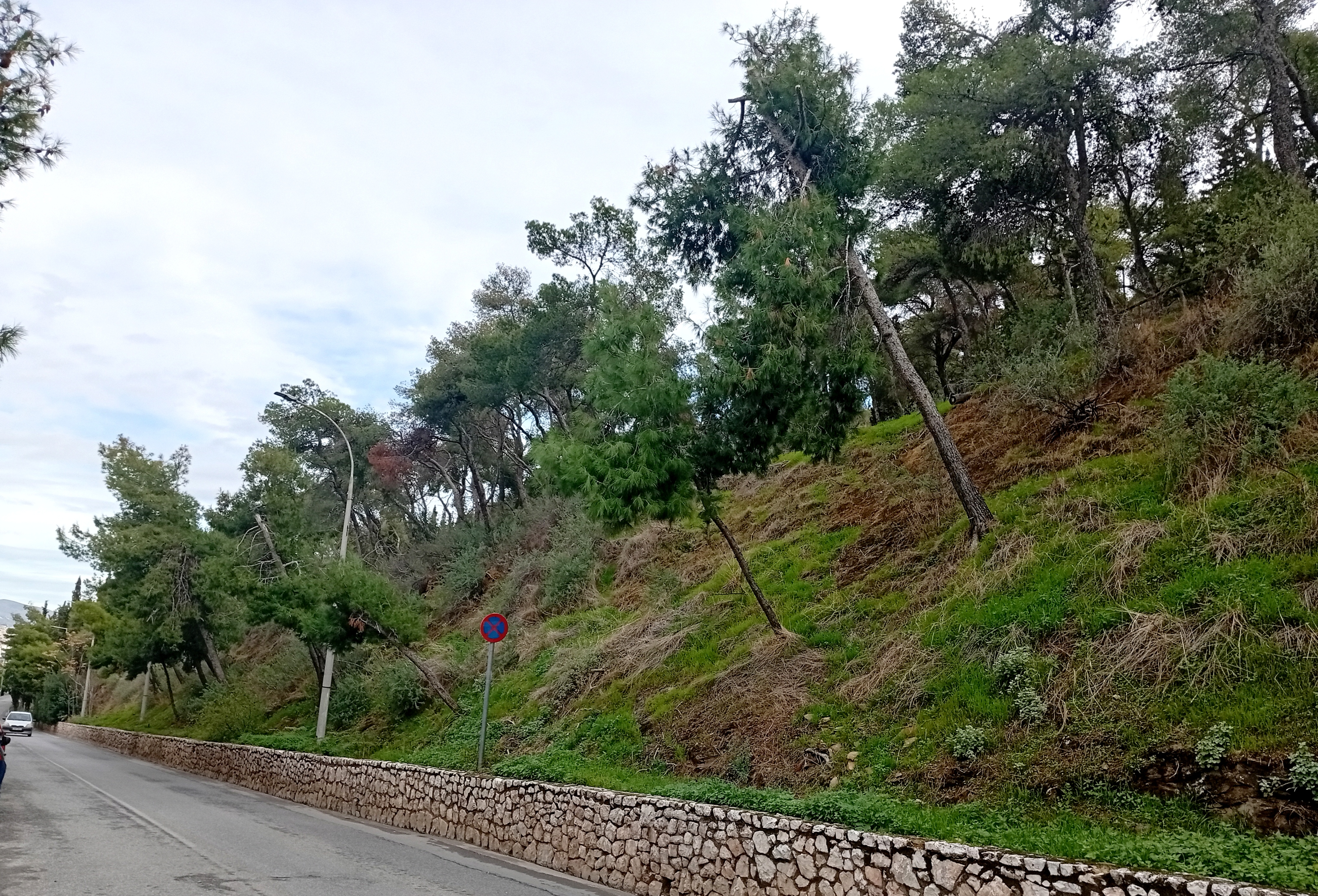 Μία λίμνη 160 τ.μ. και κήποι βροχής στον Λυκαβηττό-2