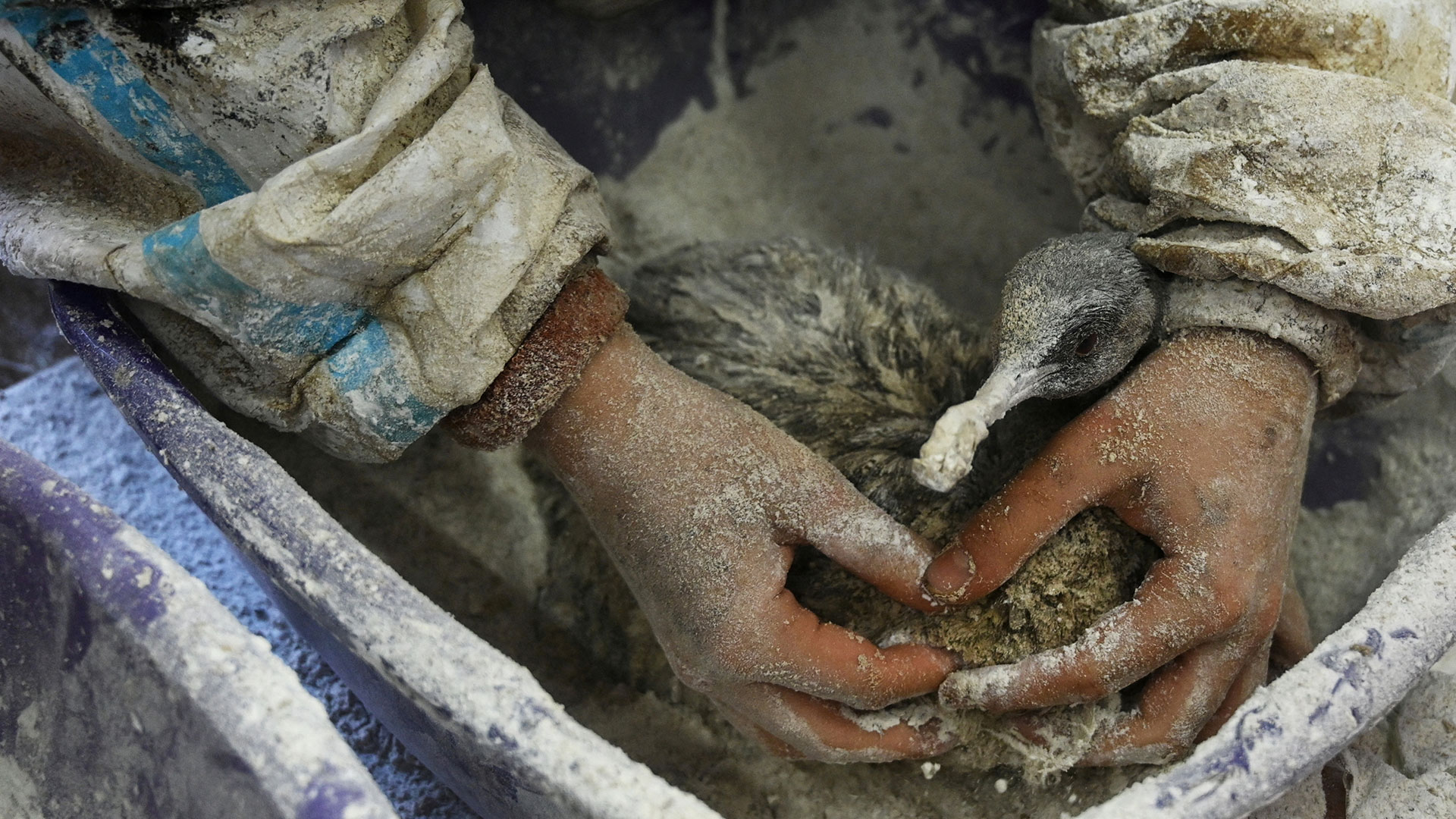 «Αδιανόητη κατάσταση»: Ρώσοι επιστήμονες κατηγορούν το Κρεμλίνο για την αντιμετώπιση της πετρελαιοκηλίδας-1