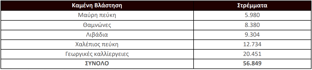 Ερευνα: Οι 14 μεγάλες πυρκαγιές του 2024-11