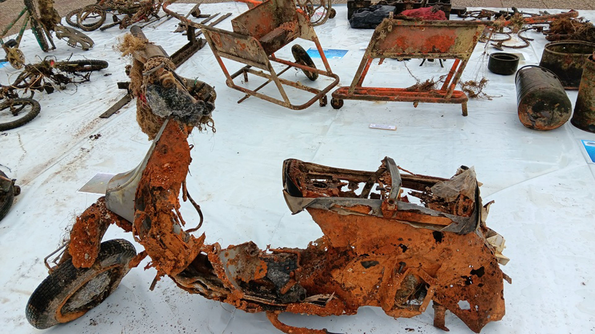 Παμβώτιδα: Στην επιφάνεια τα «μυστικά» της λίμνης των Ιωαννίνων-5