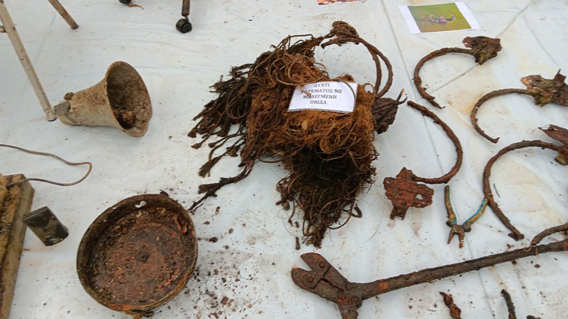 Παμβώτιδα: Στην επιφάνεια τα «μυστικά» της λίμνης των Ιωαννίνων-9