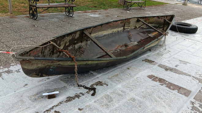 παμβώτιδα-στην-επιφάνεια-τα-μυστικά-563360278