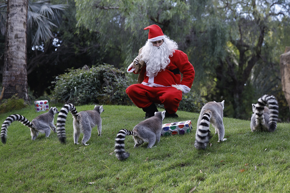 Ολόλευκη έκθεση-2