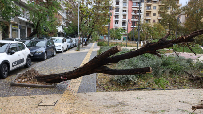 κακοκαιρία-bora-μήνυση-κατά-του-δεδδηε-κα-563353798