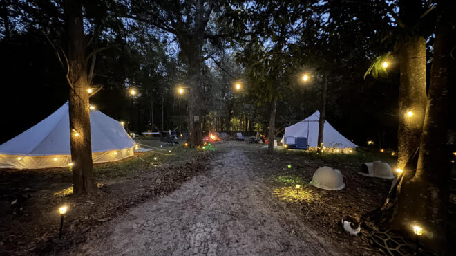 καταφύγιο-για-γάτες-ή-αirbnb-και-τα-δύο-563397841