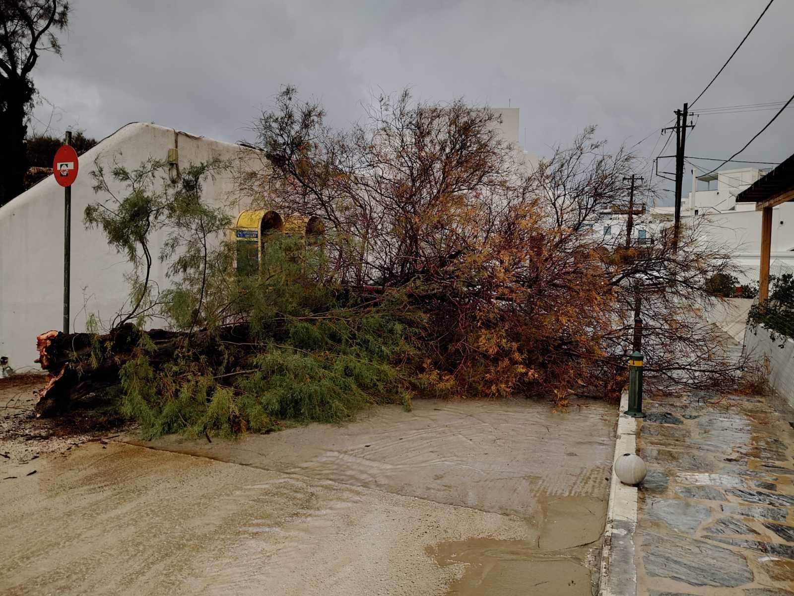Νάξος: Προβλήματα από την κακοκαιρία – Δεν έδεσε πλοίο εν μέσω θυελλωδών ανέμων-1