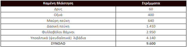Ερευνα: Οι 14 μεγάλες πυρκαγιές του 2024-9