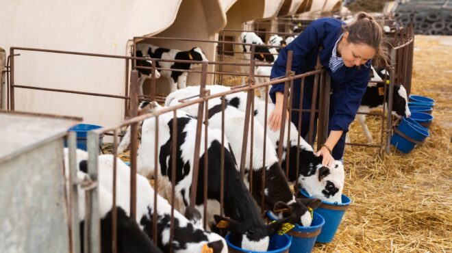 κίνδυνος-γαλλογερμανικού-ρήγματος-α-563361322