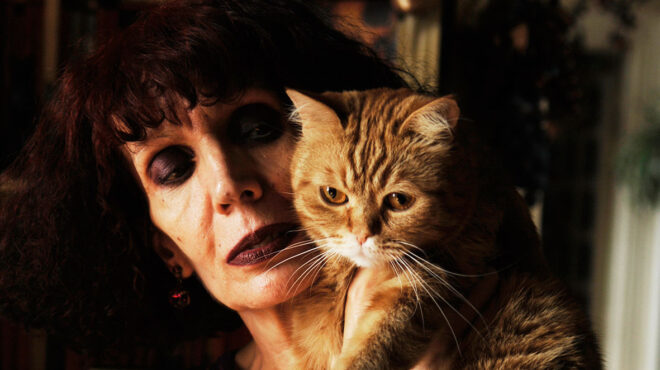 ερευνητική-ματιά-στο-εργαστήριο-της-ζ-563397985