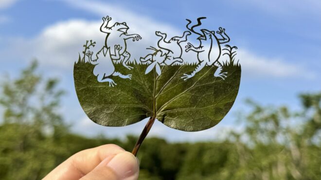 η-καταπραϋντική-τέχνη-των-φύλλων-563351644