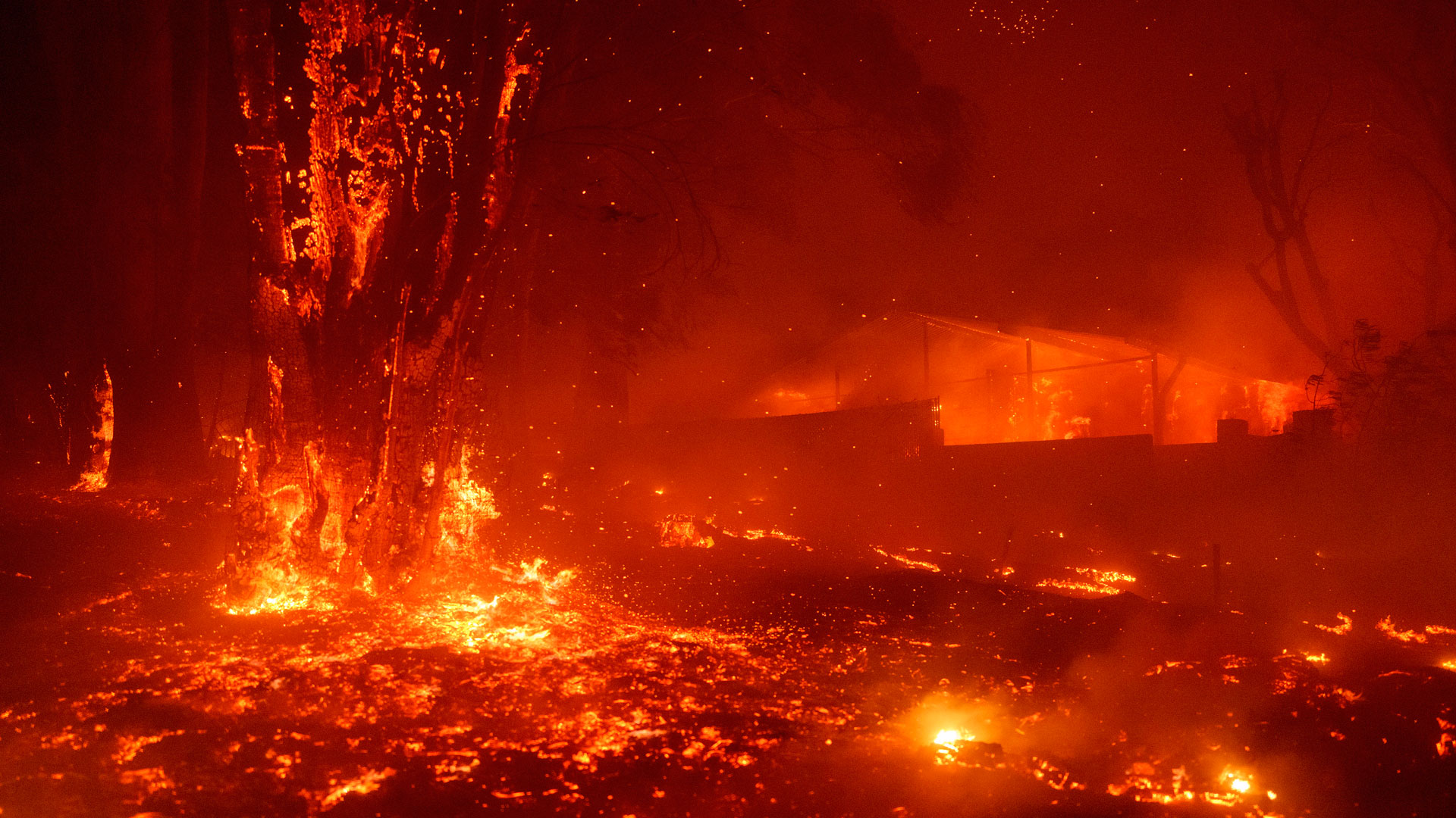 ΗΠΑ: Μεγάλη πυρκαγιά κοντά στο Λος Αντζελες – Εκκενώσεις στο Μαλιμπού-1