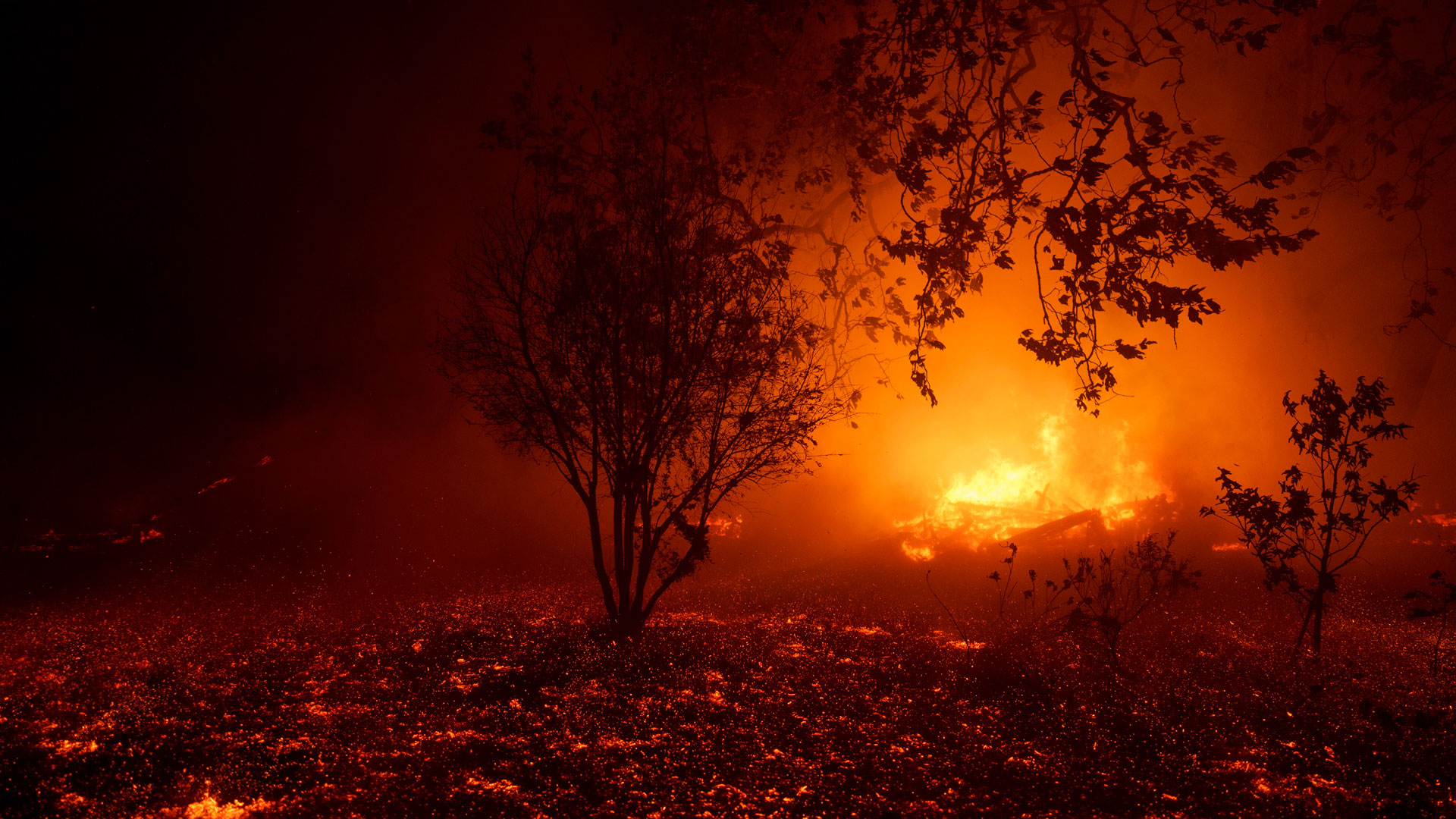 ΗΠΑ: Μεγάλη πυρκαγιά κοντά στο Λος Αντζελες – Εκκενώσεις στο Μαλιμπού-3