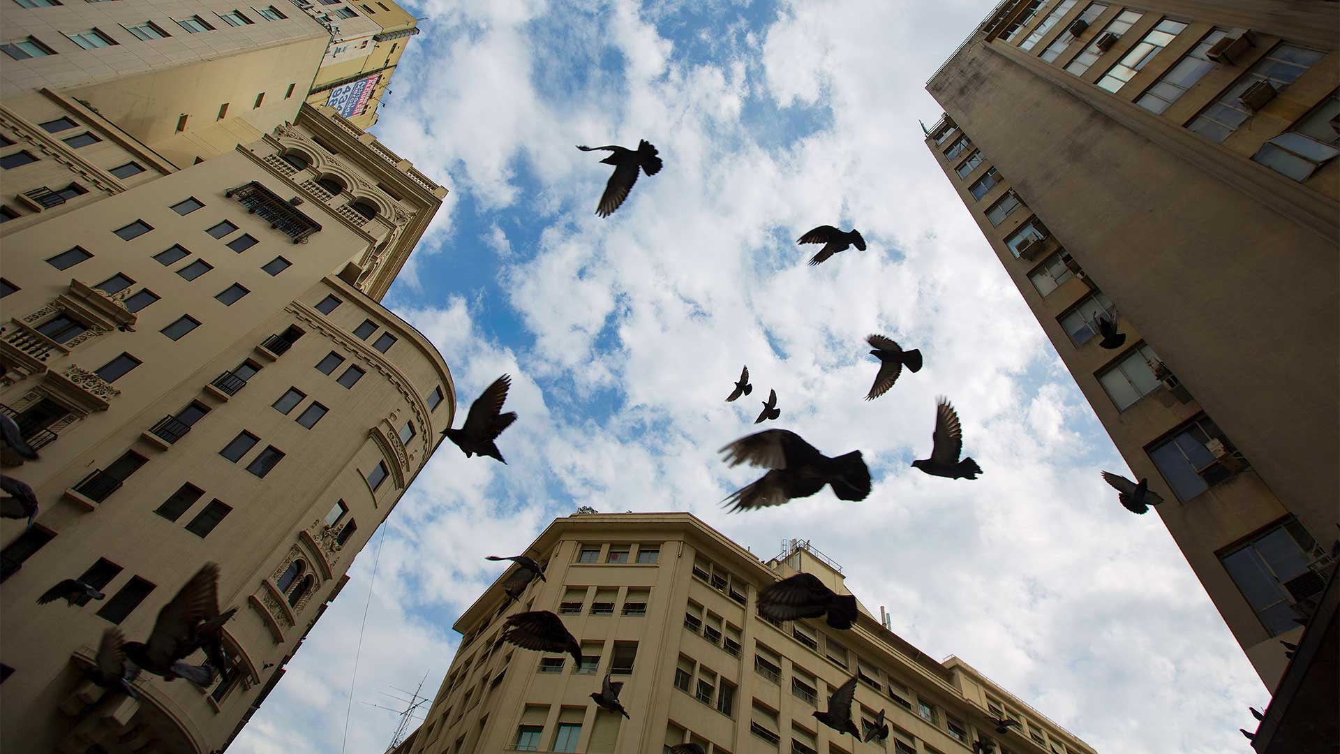 Η εθιστική γοητεία του Μπουένος Άιρες-1