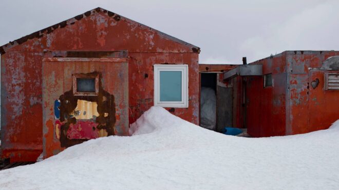 γιορτάζοντας-τα-χριστούγεννα-στην-αν-563391235