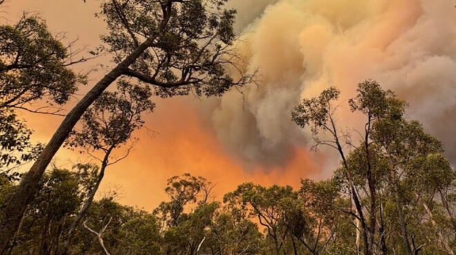 αυστραλία-πυροσβέστες-προσπαθούν-να-563392597