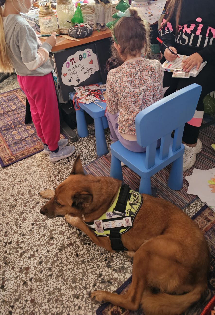 «Σήμερα θα δει τις ασκήσεις σας ο Αξελ» – Σκύλοι σε ρόλο εκπαιδευτικού διαμεσολαβητή-1