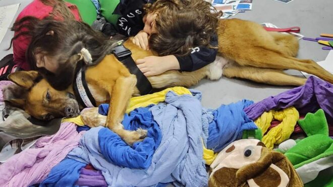 σήμερα-θα-δει-τις-ασκήσεις-σας-ο-αξελ-563364508