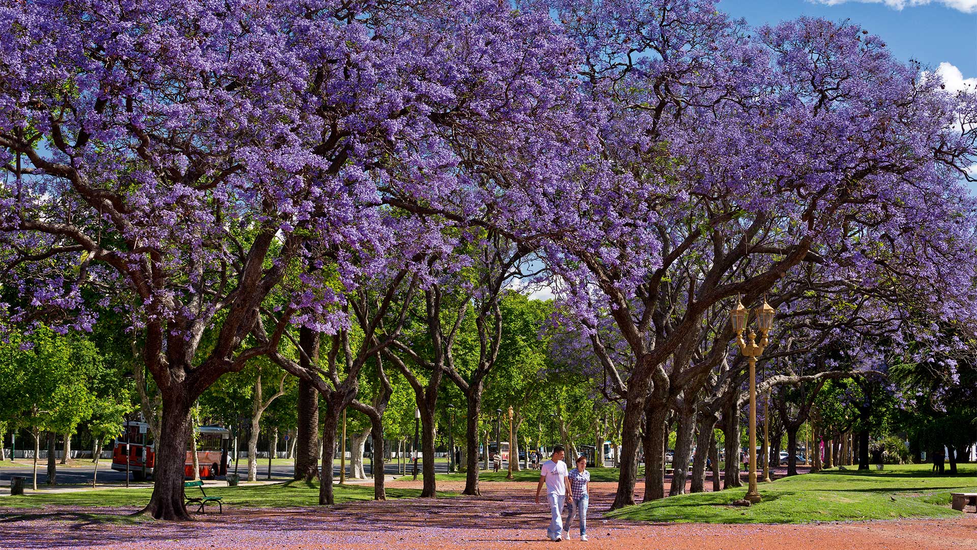 Η εθιστική γοητεία του Μπουένος Άιρες-7