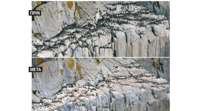 ζούμε-σε-μια-νέα-επικίνδυνη-εποχή-563374885