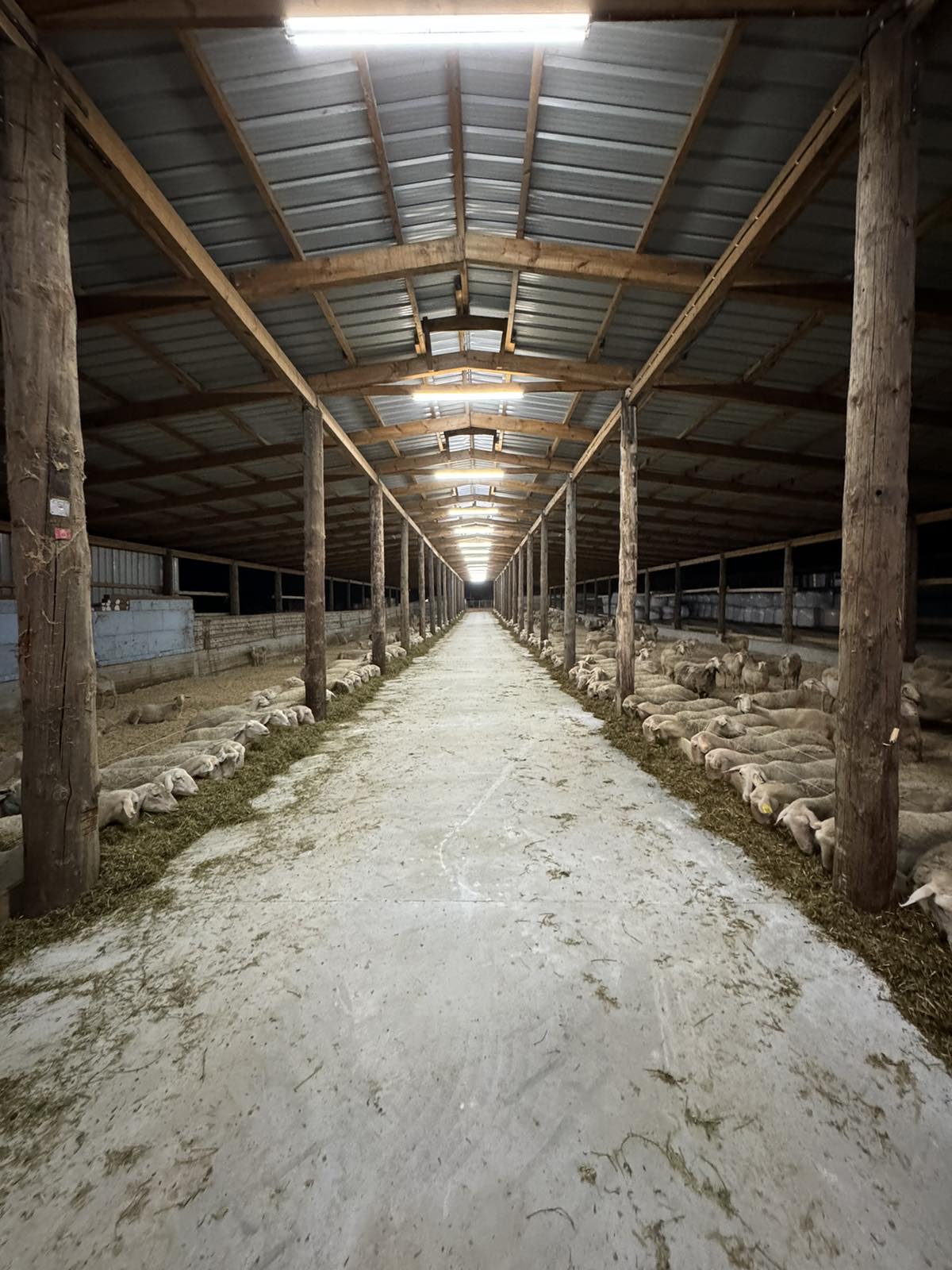 Ο αγρότης και ο κτηνοτρόφος της χρονιάς δείχνουν τον βιώσιμο δρόμο-2