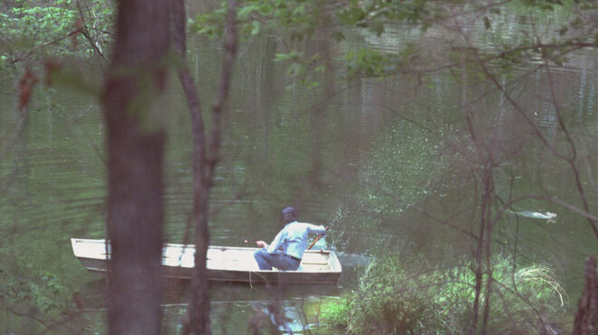 πώς-ένα-κουνέλι-έγινε-ο-εφιάλτης-του-τζ-563397961