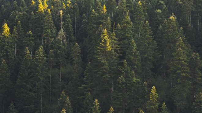 σαββατοκύριακο-στην-ελάτη-και-το-περτ-563366206