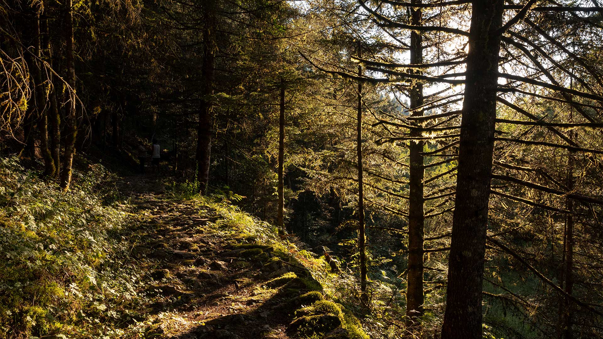 Σαββατοκύριακο στην Ελάτη και το Περτούλι-2