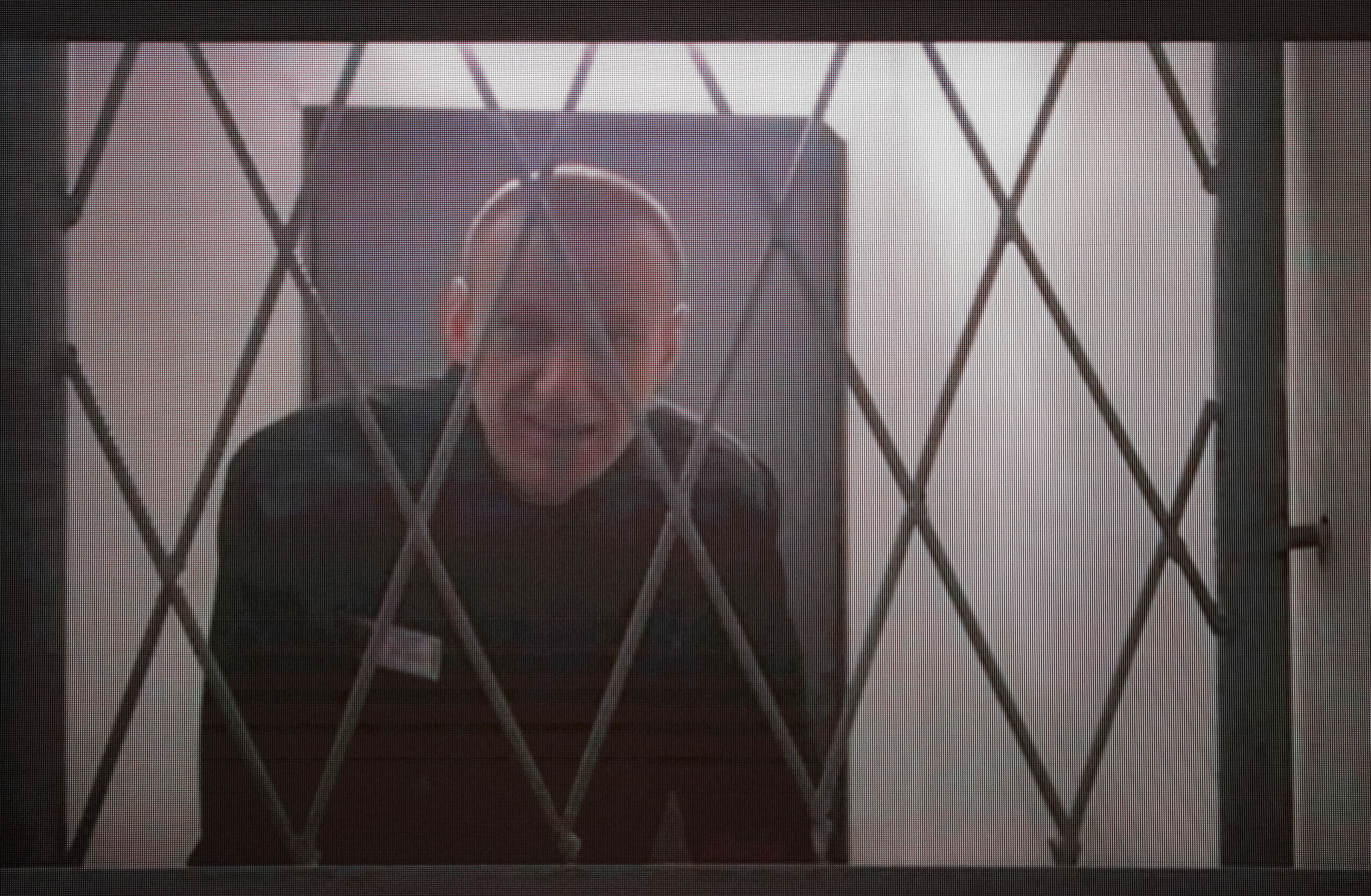 Το φωτογραφικό άλμπουμ του 2024-5